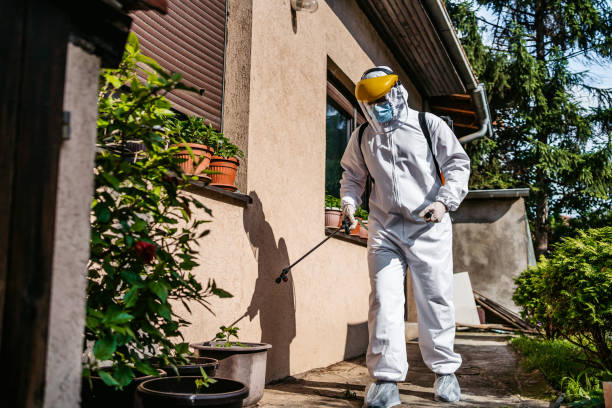 Best Local Pest Control Services  in Kirtland Af, NM